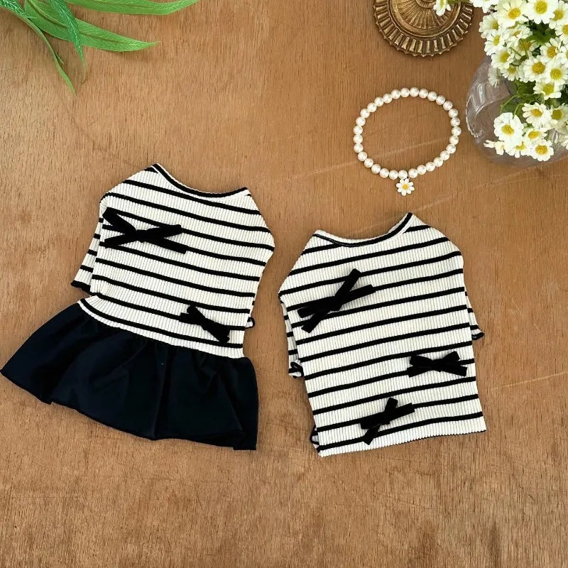 CONJUNTO COCO
