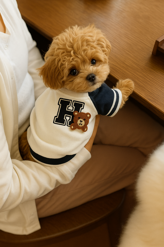 CAMISA HUND