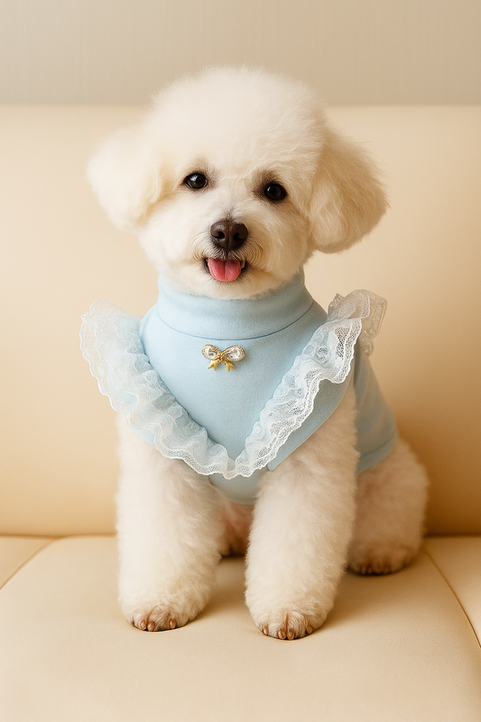 CAMISA BIJOU